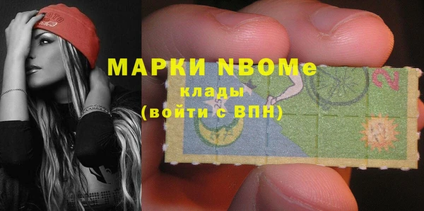 шишки Алексин