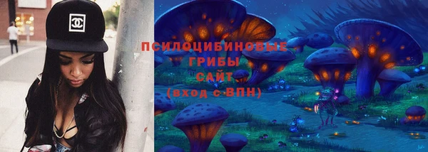 шишки Алексин