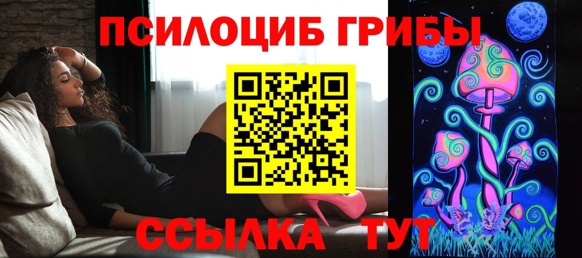 Псилоцибиновые грибы Cubensis Мыски